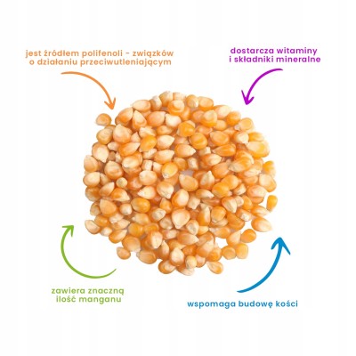 KUKURYDZA popcorn 2,5kg...